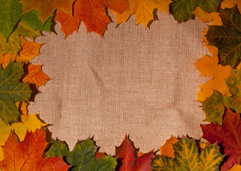 Naklejka na ściany i meble autumn background with colored leaves on texture