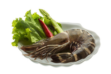 Tiger prawn