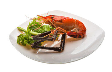 Giant Freshwater Prawn