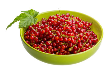 Red currant