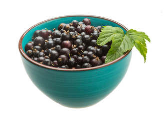 Black currant