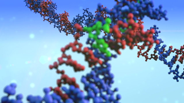 DNA