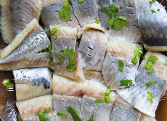 Fillet of a herring