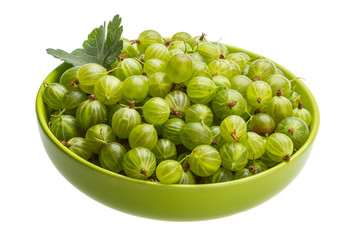 Gooseberry