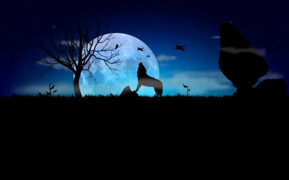 loup