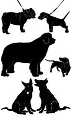 dog Shepherd Dog Dachshund bulldog