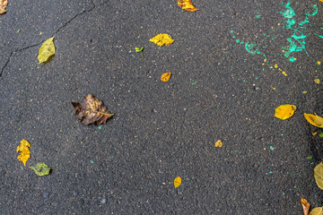 Asphalt texture autumn