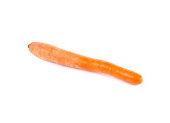 Fresh carrot