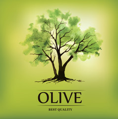 watercolor olive tree. Olive oil.For labels, pack