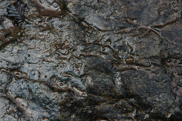 raw stone texture