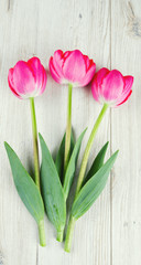 pink tulips on wooden surface
