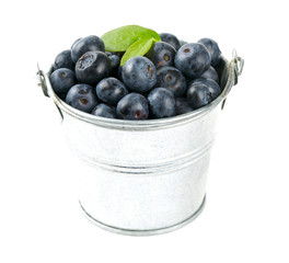 fresh blueberries in a bucket over white