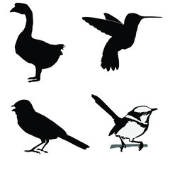 black silhouette of wren,hummingbird,goose,sparrow