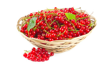 red currant berries in a basket