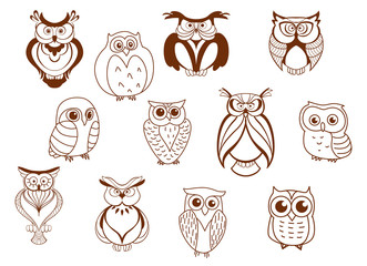 Naklejka premium Cute cartoon vector owl characters