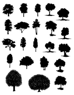Vector silhouettes of assorted trees