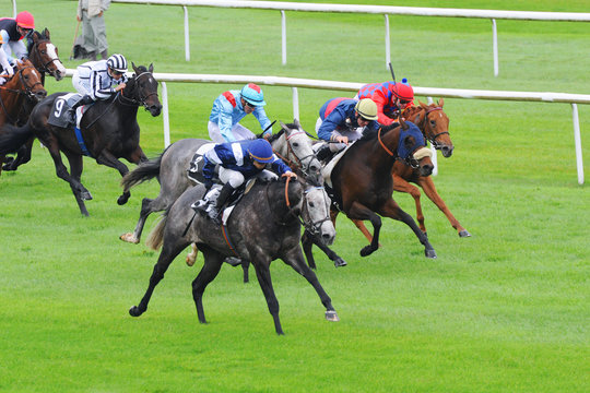 course hippique