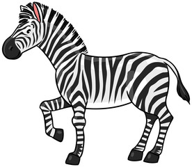 Fototapeta na wymiar Zebra.