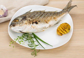 Grilled dorado