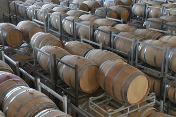 Wine aging in barrels