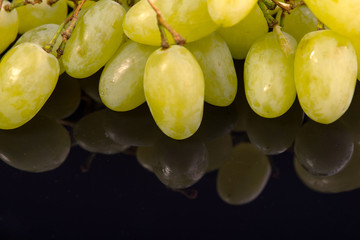 Still life is an eternal beauty