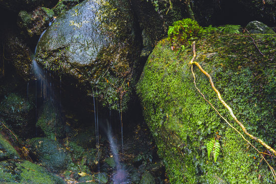 Wasserfall, Yakushima Japan