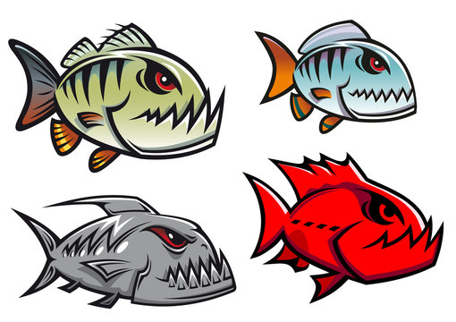 Cartoon colorful pirhana fish characters
