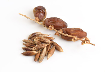 Seeds and Date Palm (Phoenix dactylifera).