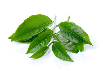 green tea leaf isolated on white background