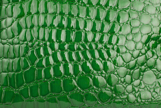 Green  alligator / crocodile skin leather (wallpaper,background)