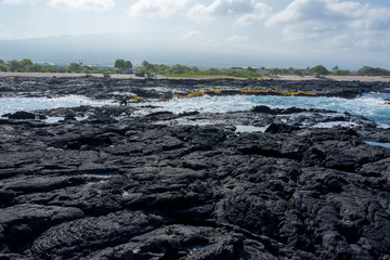Black lava rock at beach in Hawaii