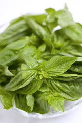 バジルの葉