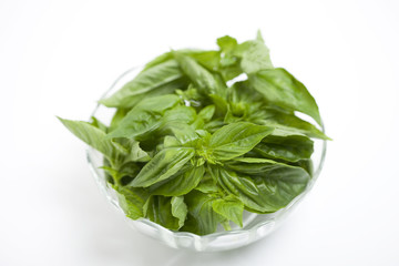 バジルの葉