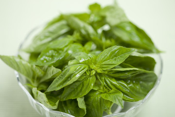 バジルの葉