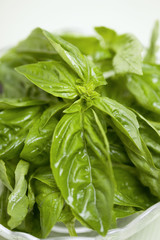 バジルの葉