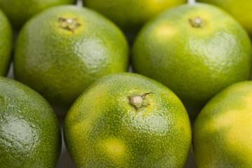 青い早稲みかん