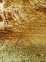 Sandstone rock detail structure
