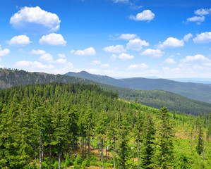 National park Sumava - Czech Republic