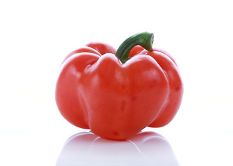 pepper on white background