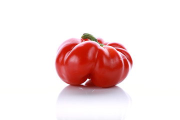 pepper on white background