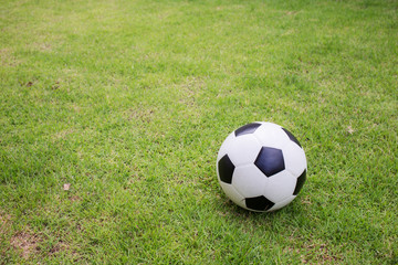 Fototapeta premium soccer ball on green grass