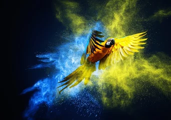 Zelfklevend behang Papegaai Vliegende Ara-papegaai over kleurrijke poederexplosie