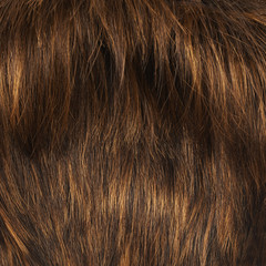 Hair fragment as a background composition