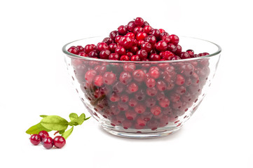 cranberries isolated