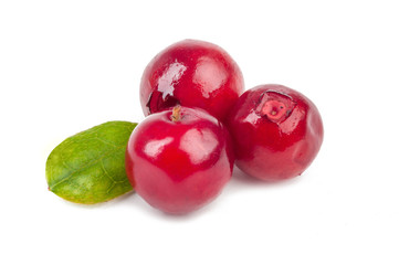 cranberries isolated