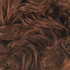 Hair fragment as a background composition