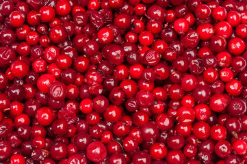 cranberries background - 71805188