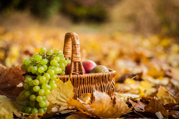 fruit basket on leaves