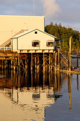 Commercial and private fishing boats at dock in Charleston OR