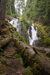 hiking in the oregon forest